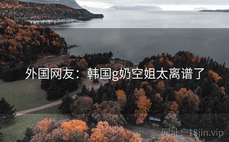 外国网友：韩国g奶空姐太离谱了  第2张