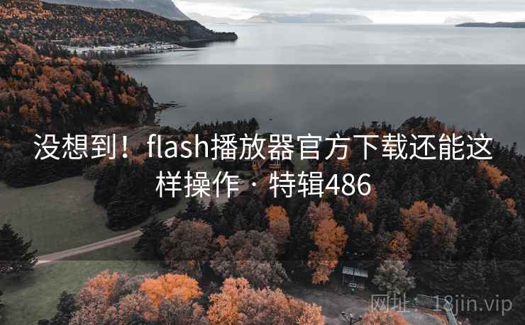 没想到！flash播放器官方下载还能这样操作 · 特辑486  第1张