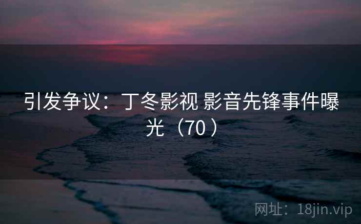 引发争议：丁冬影视 影音先锋事件曝光（70 ）  第2张